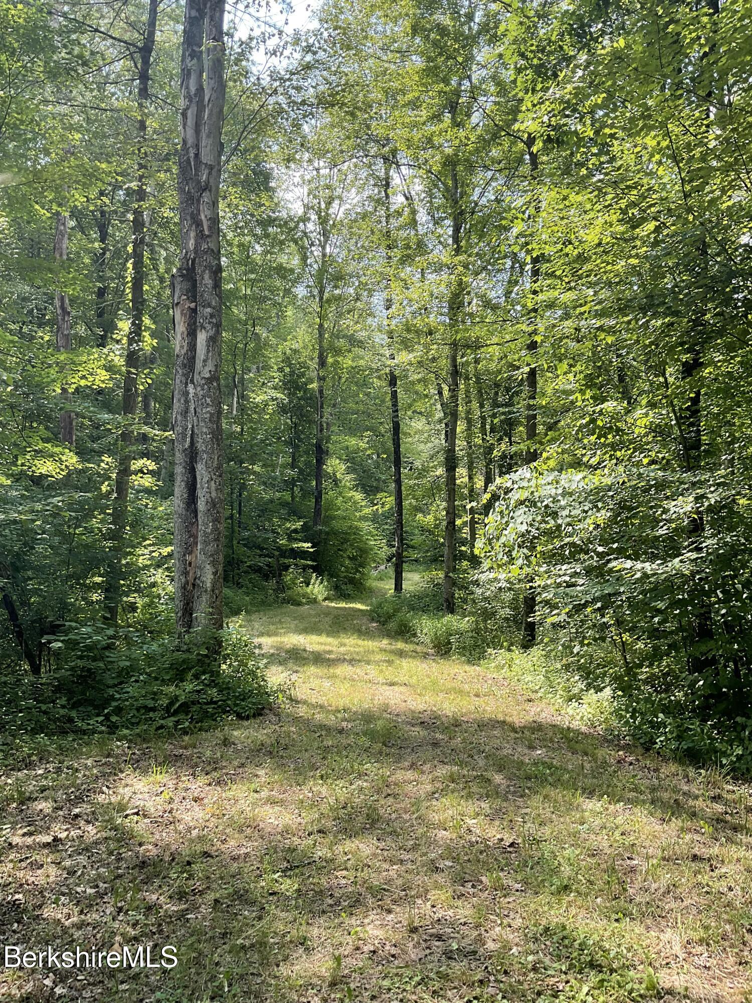 8 Stone Ridge Road Stockbridge, MA 01262 - Photo 5 of 12 DRIVE