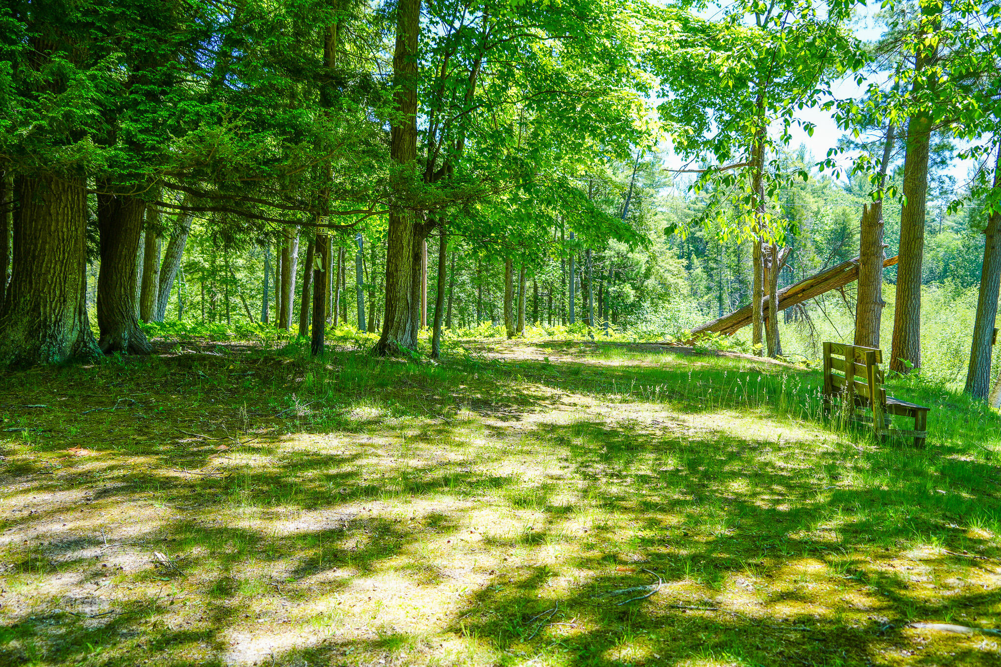 4993 Little River Road Manistee, MI 49660 - Photo 30 of 62 DSC00309