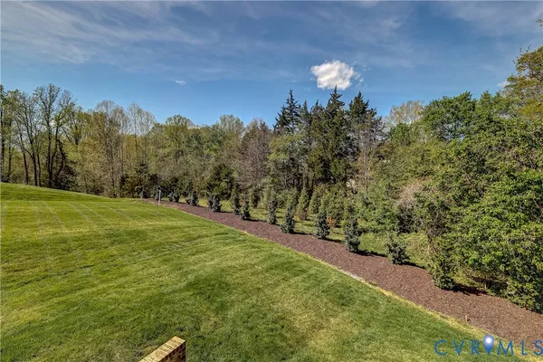 a view of a yard with a tree