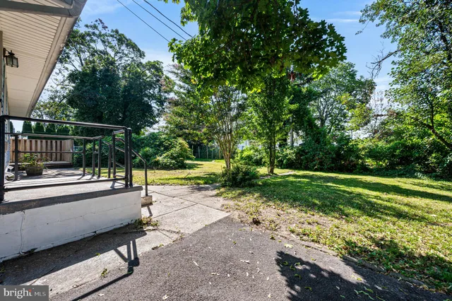a view of a park with large trees