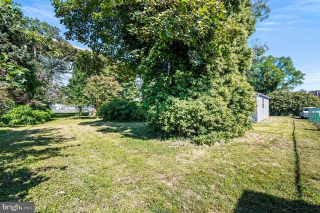 a view of yard with large trees