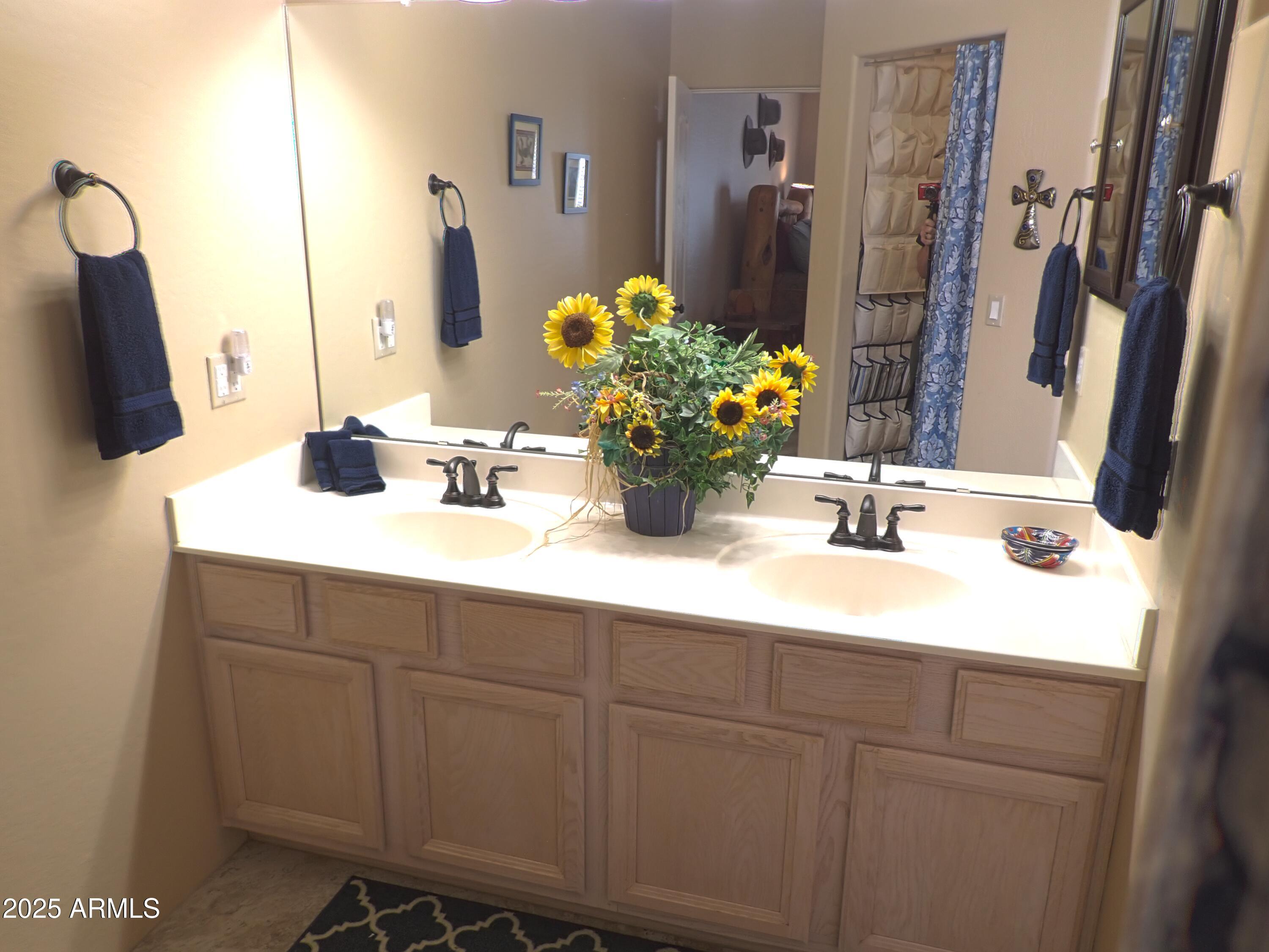 38065 North Cave Creek Road, Unit 20 Cave Creek, AZ 85331 - Photo 27 of 47 master-bath-counter