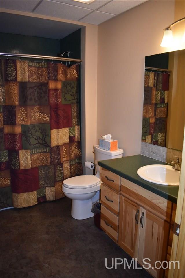 180 Co Road Negaunee, MI 49866 - Photo 39 of 50