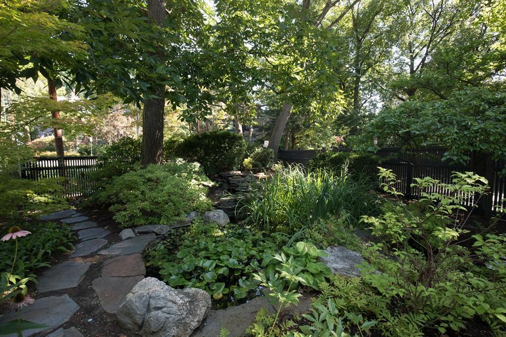 4 Wyman Road Cambridge, MA 02138 - Photo 22 of 24