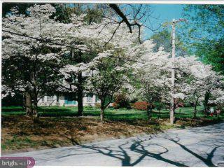 491 Walker Road Wayne, PA 19087 - Photo 4 of 5