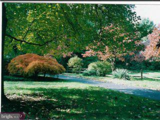 491 Walker Road Wayne, PA 19087 - Photo 5 of 5