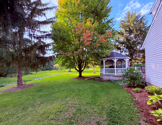 2636 South Homer Lake Road Homer, IL 61849 - Photo 48 of 176