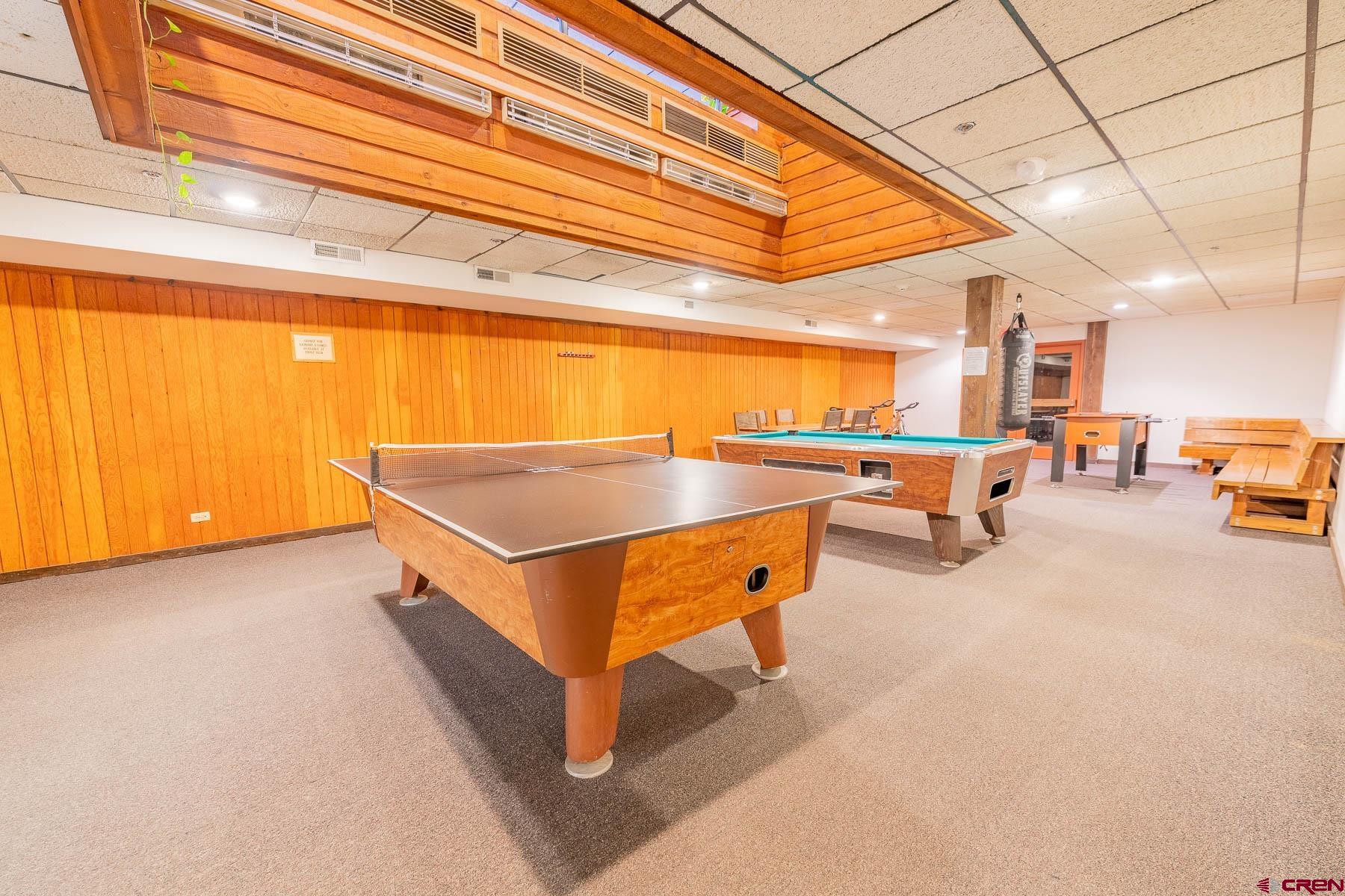 701 Gothic Road, Unit 342 Crested Butte, CO 81225 - Photo 17 of 19 Gallery Image 17