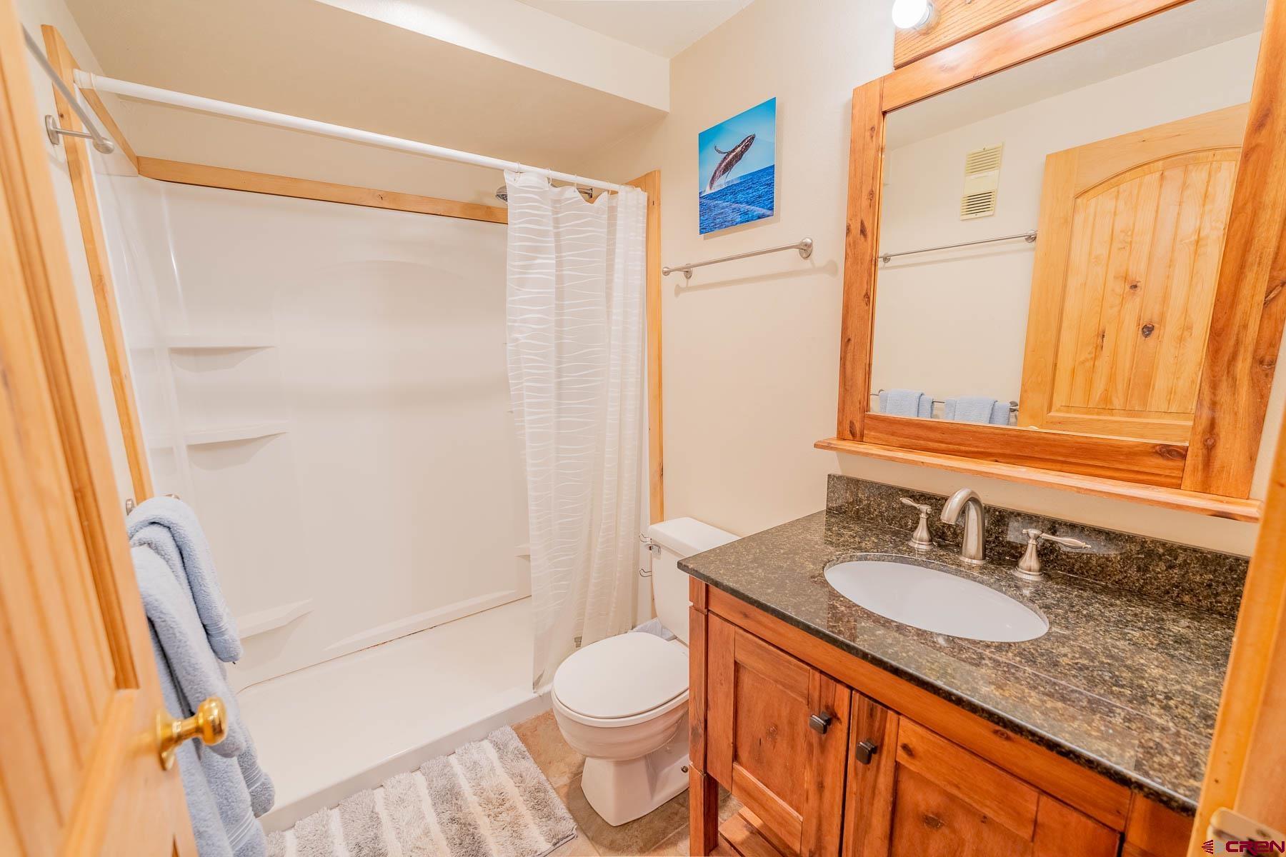 701 Gothic Road, Unit 342 Crested Butte, CO 81225 - Photo 10 of 19 Gallery Image 10