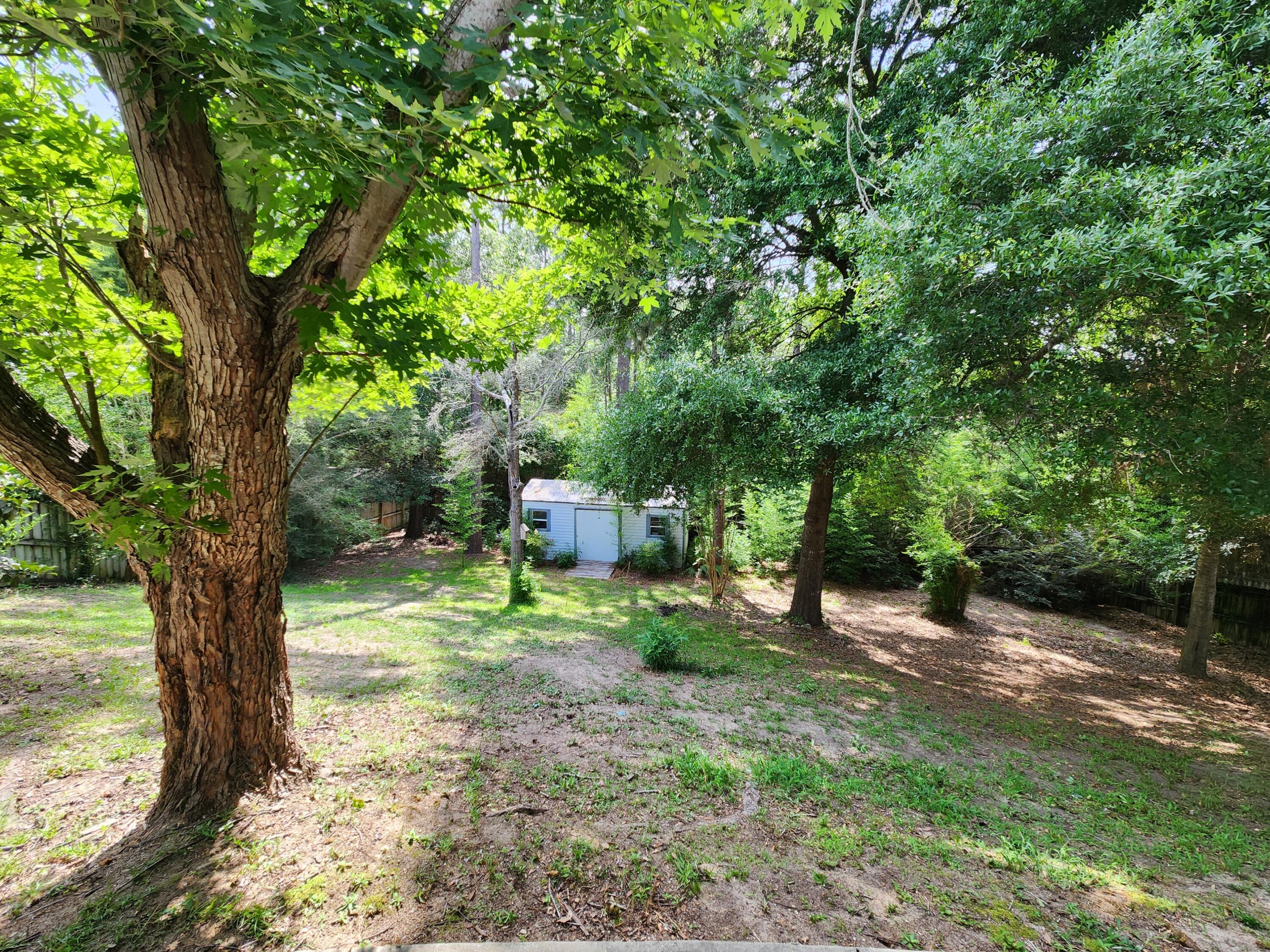 4868 Orlimar Street Crestview, FL 32536 - Photo 24 of 25 a view of a tree in the middle of a yard