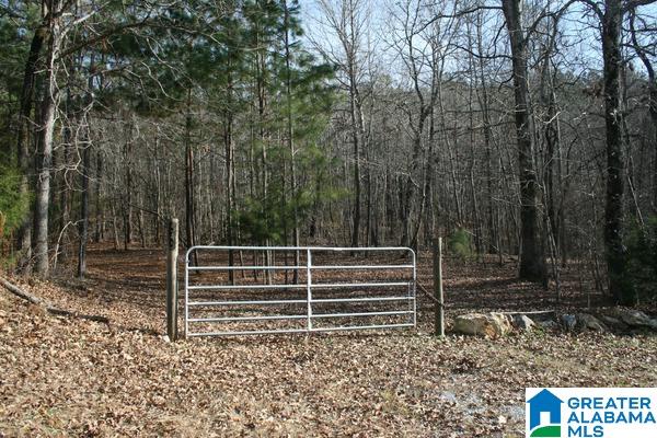 545 Chinnabee Road, Unit 24 ACRES Munford, AL 36268 - Photo 6 of 6