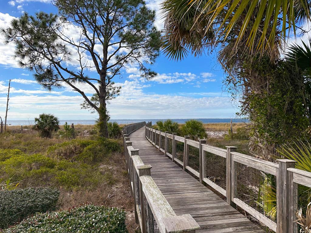 925 Backwater Road Port St. Joe, FL 32456 - Photo 32 of 33
