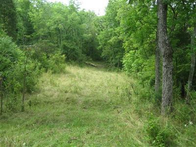 1111 Puckett Road Lawrenceburg, KY 40342 - Photo 10 of 32 Photo 10