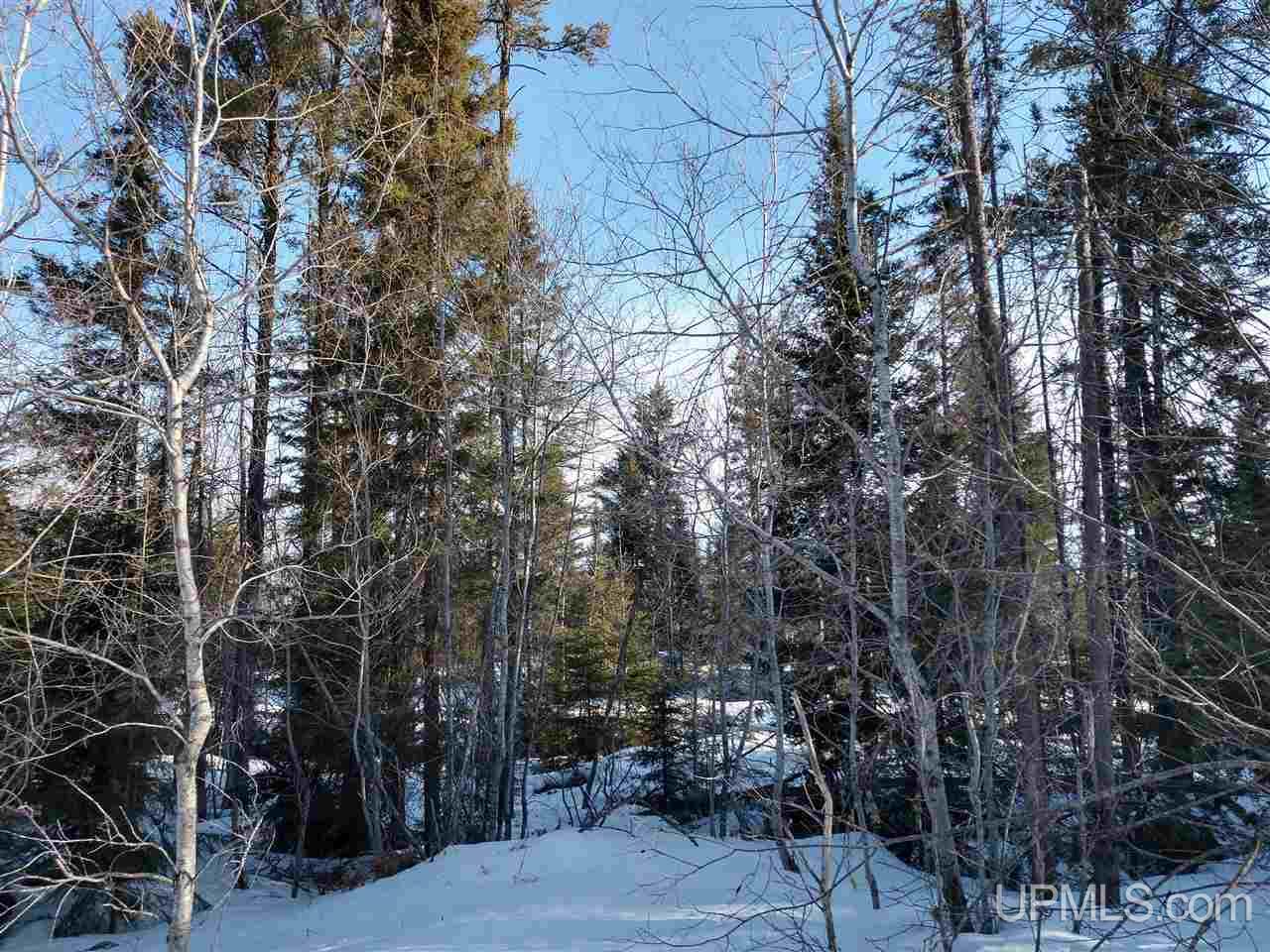 39-acres 39-acres Co Road Ishpeming, MI 49849 - Photo 28 of 39