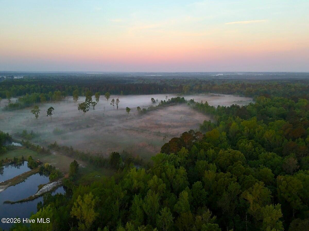 0 Durwood Evans Road Beulaville, NC 28518 - Photo 20 of 68 20.