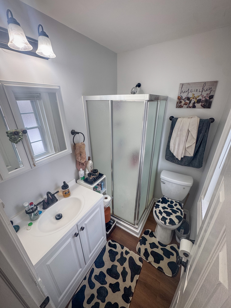 3701 Spring Grove Road Johnsburg, IL 60051 - Photo 10 of 46 a bathroom with a sink toilet and mirror