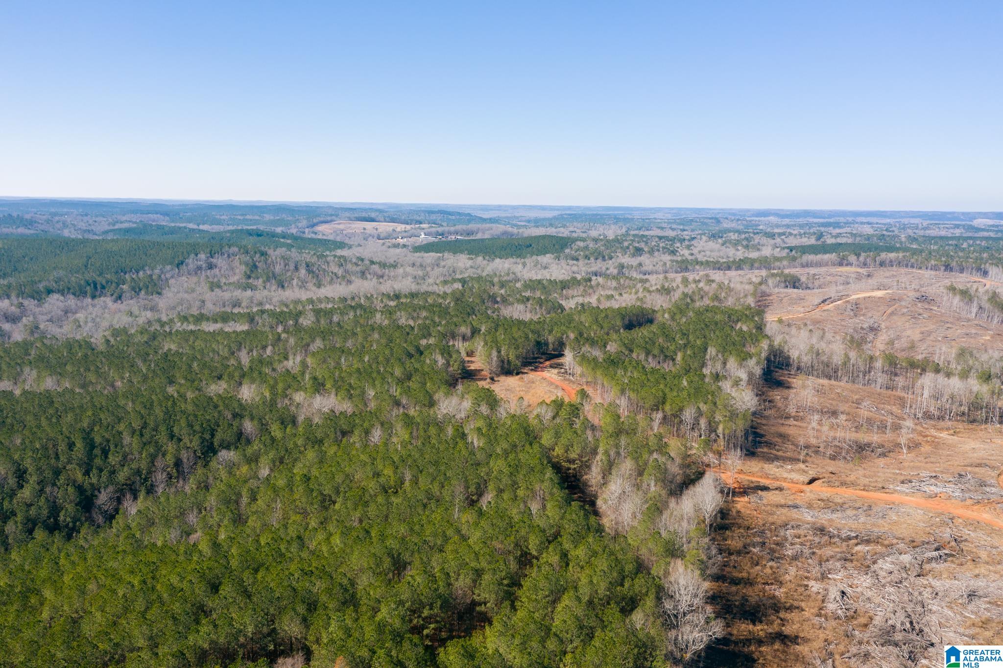 0 Harless Road Northport, AL 35475 - Photo 9 of 34