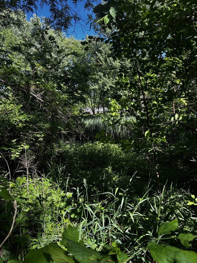 21177 North Valley Road Kildeer, IL 60047 - Photo 4 of 5