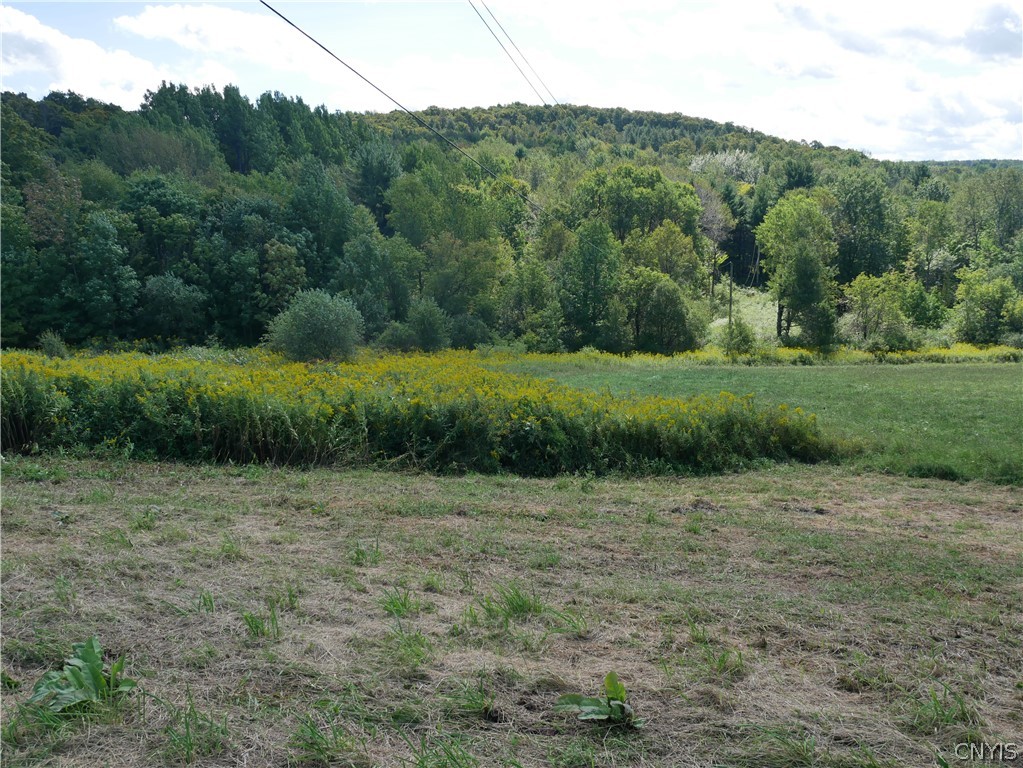 8050 Bailey Lake Road Sangerfield, NY 13480 - Photo 5 of 10 Gallery Image 5