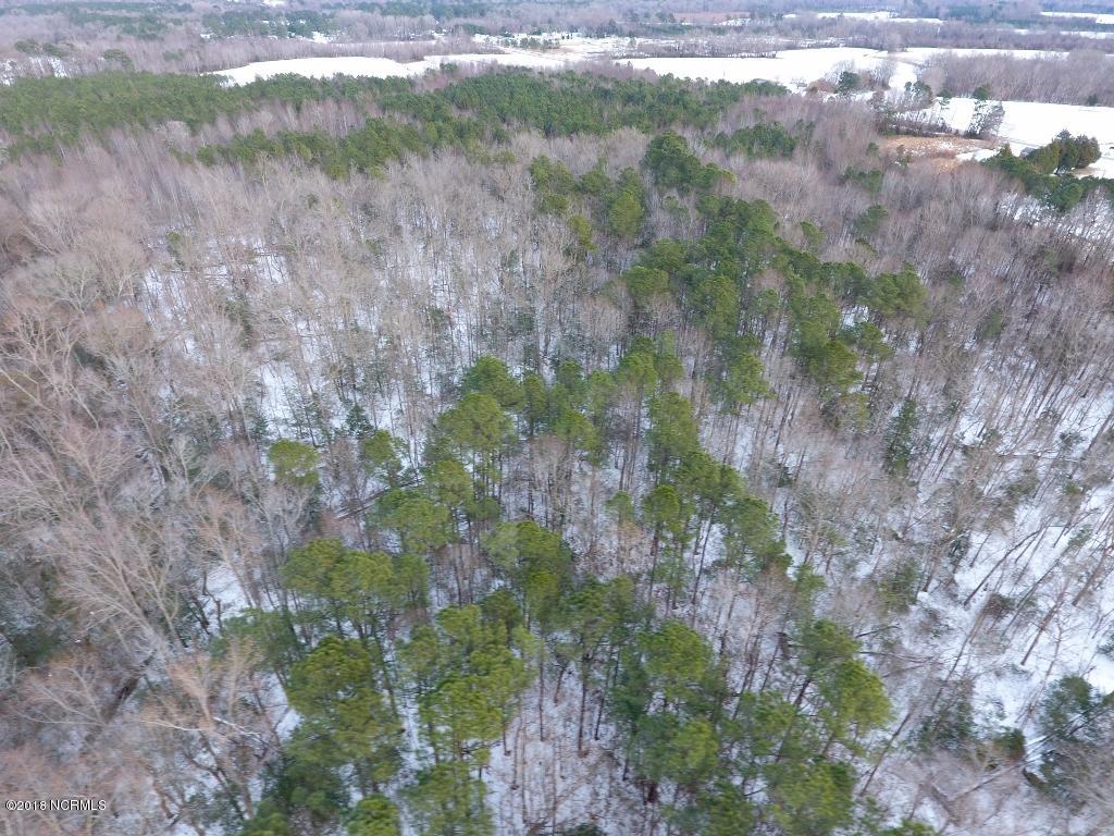 26.89 Bynum Farm Road Pinetops, NC 27864 - Photo 5 of 43 5 (1024x768)