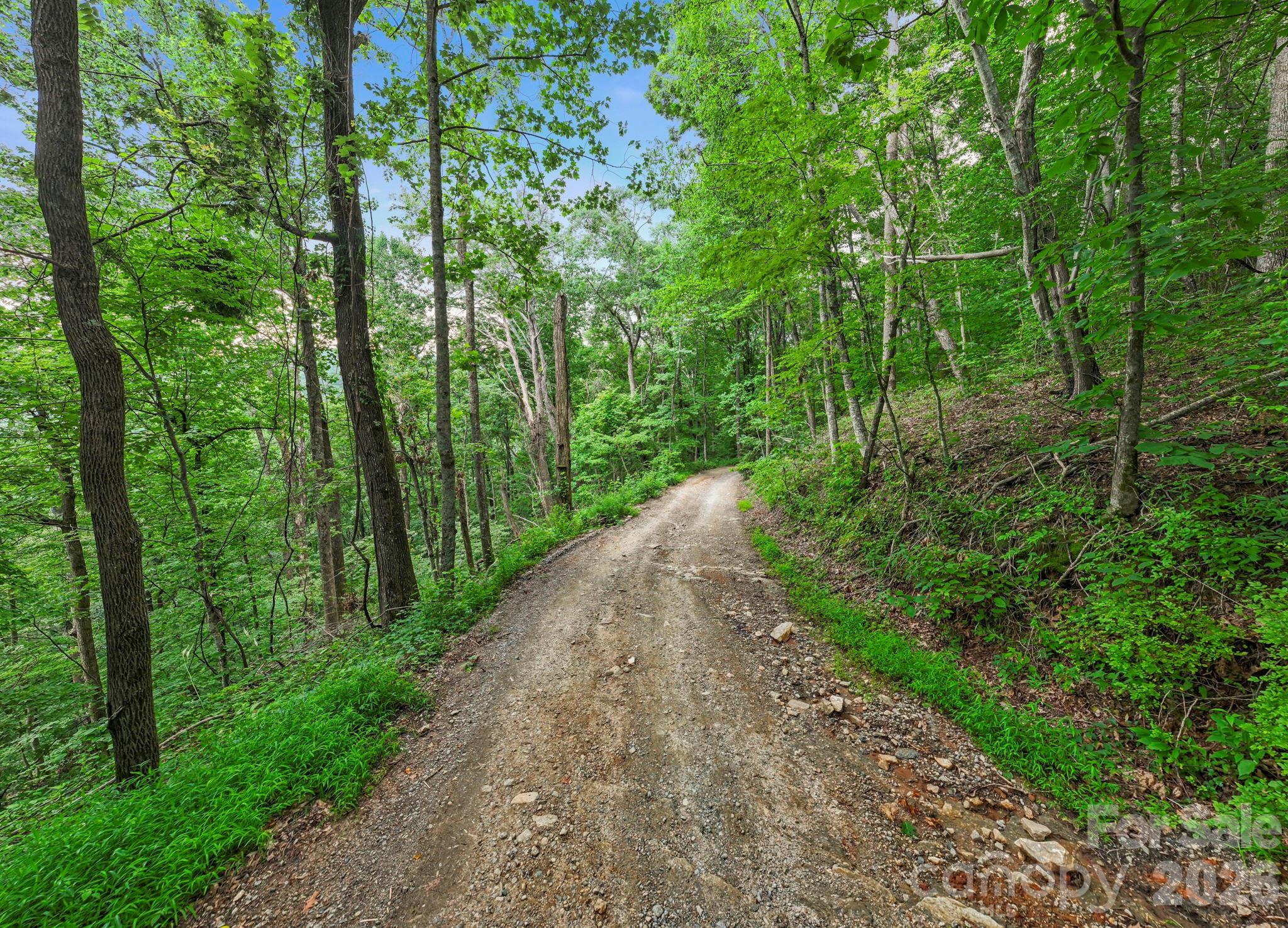 99999 Little Pisgah Road Fairview, NC 28730 - Photo 1 of 13