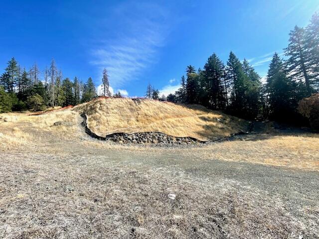 20 Burr Valley Road Bridgeville, CA 95526 - Photo 6 of 15