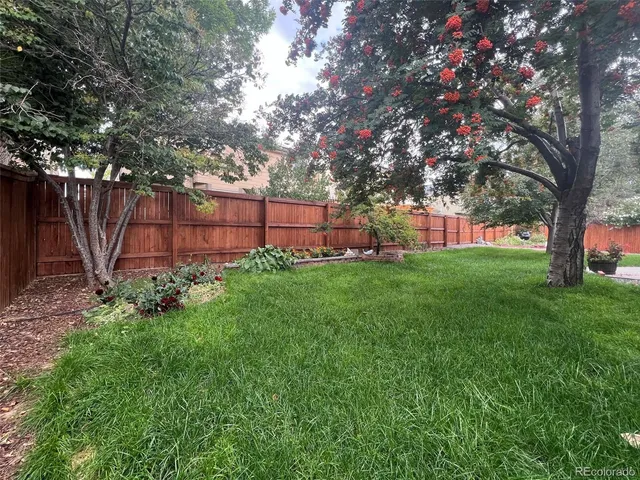 a view of a backyard with a small cabin
