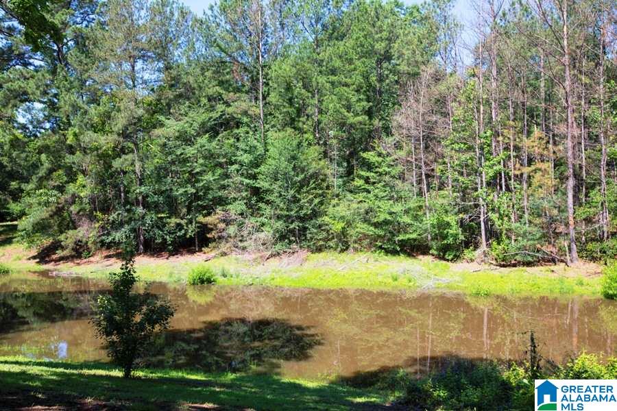 917 Pinewood Avenue Bessemer, AL 35023 - Photo 25 of 31