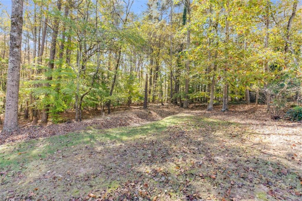 3639 Fowler Ridge Douglasville, GA 30135 - Photo 41 of 59