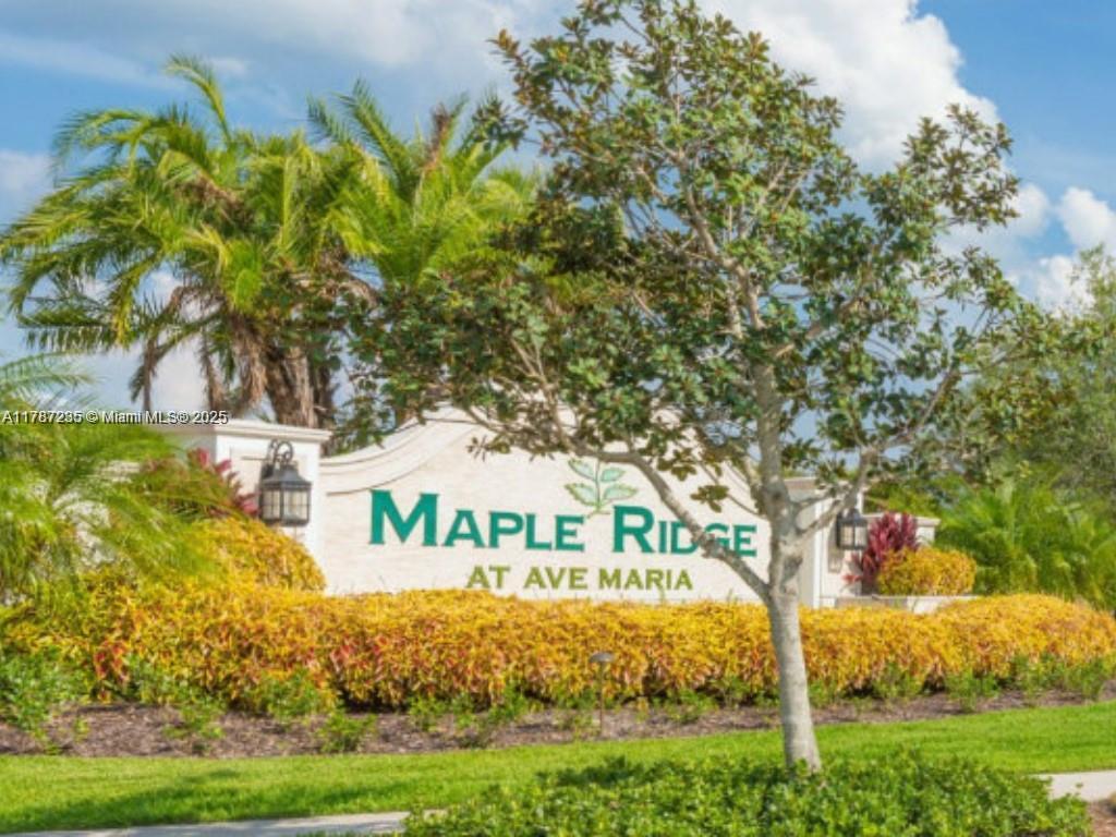 5277 Marano Drive Ave Maria, FL 34142 - Photo 18 of 23 a view of swimming pool yard