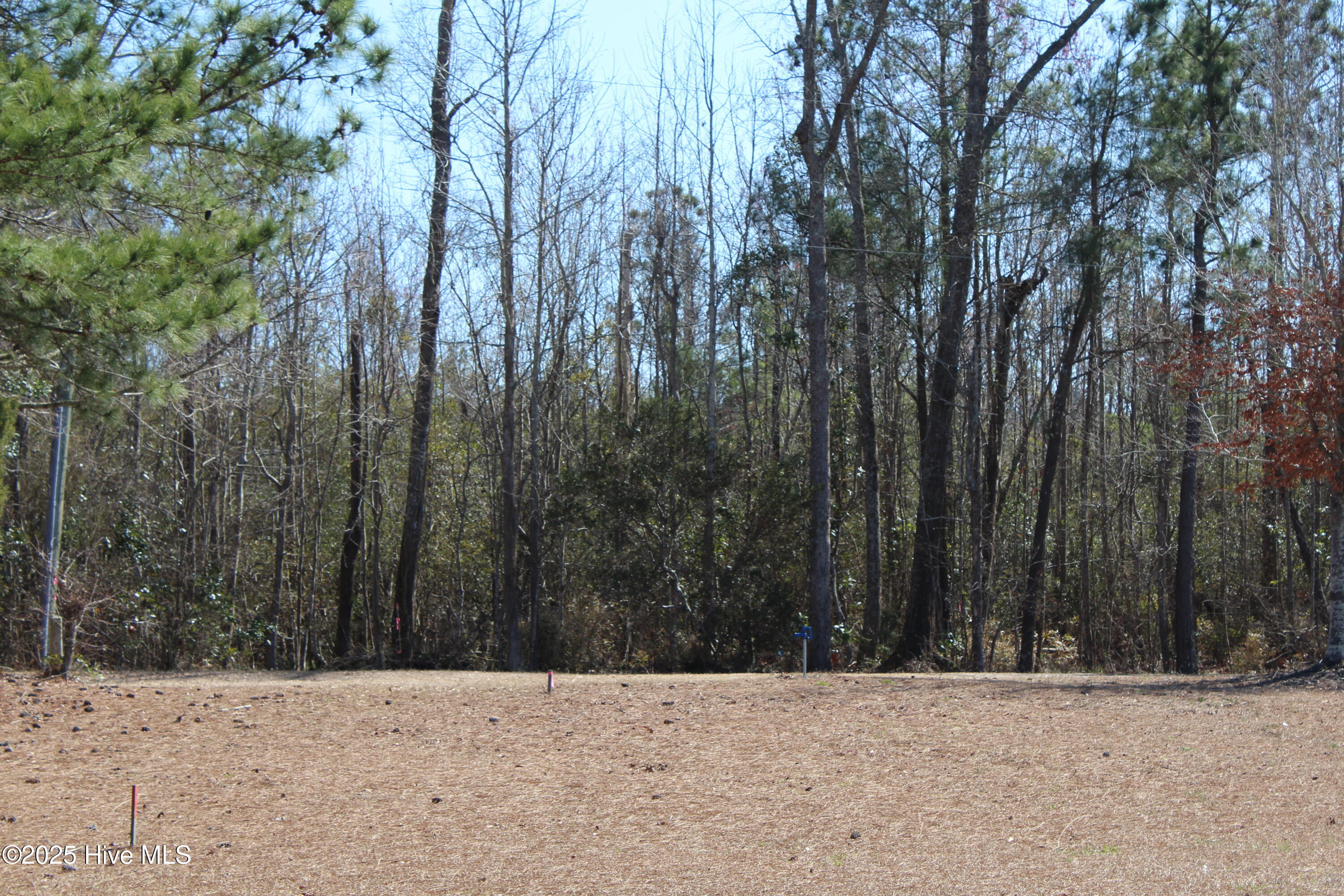 331 Newberry Landing Roper, NC 27970 - Photo 14 of 18 IMG_7680