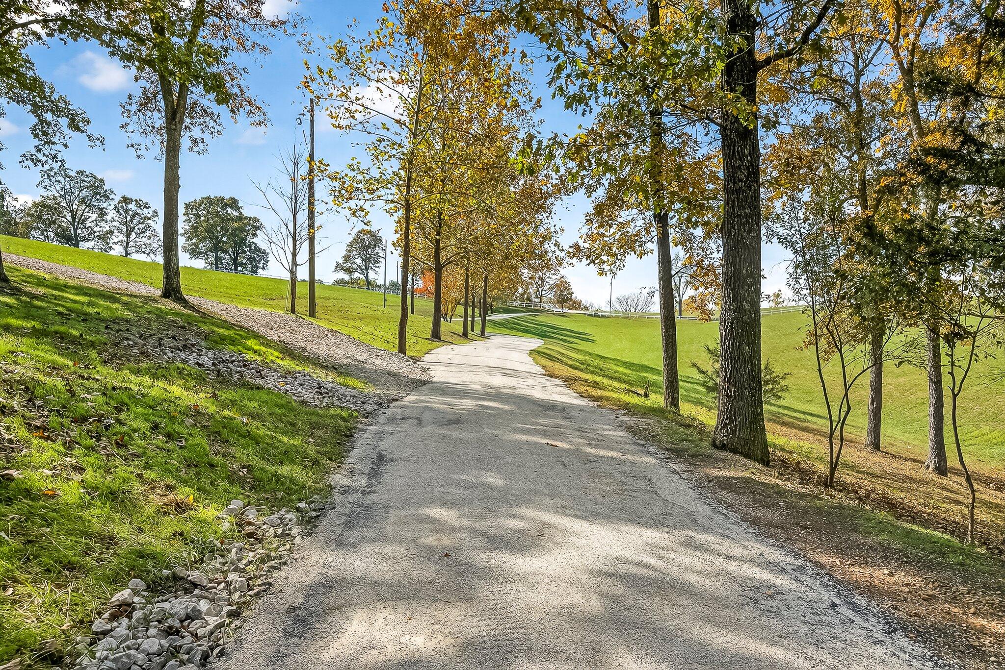 3378 Warner Road Crane, MO 65633 - Photo 23 of 102 61-warnerrd-44