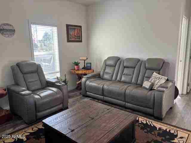 16 North Star Vale Road, Unit 114B Star Valley, AZ 85541 - Photo 5 of 14 Living room
