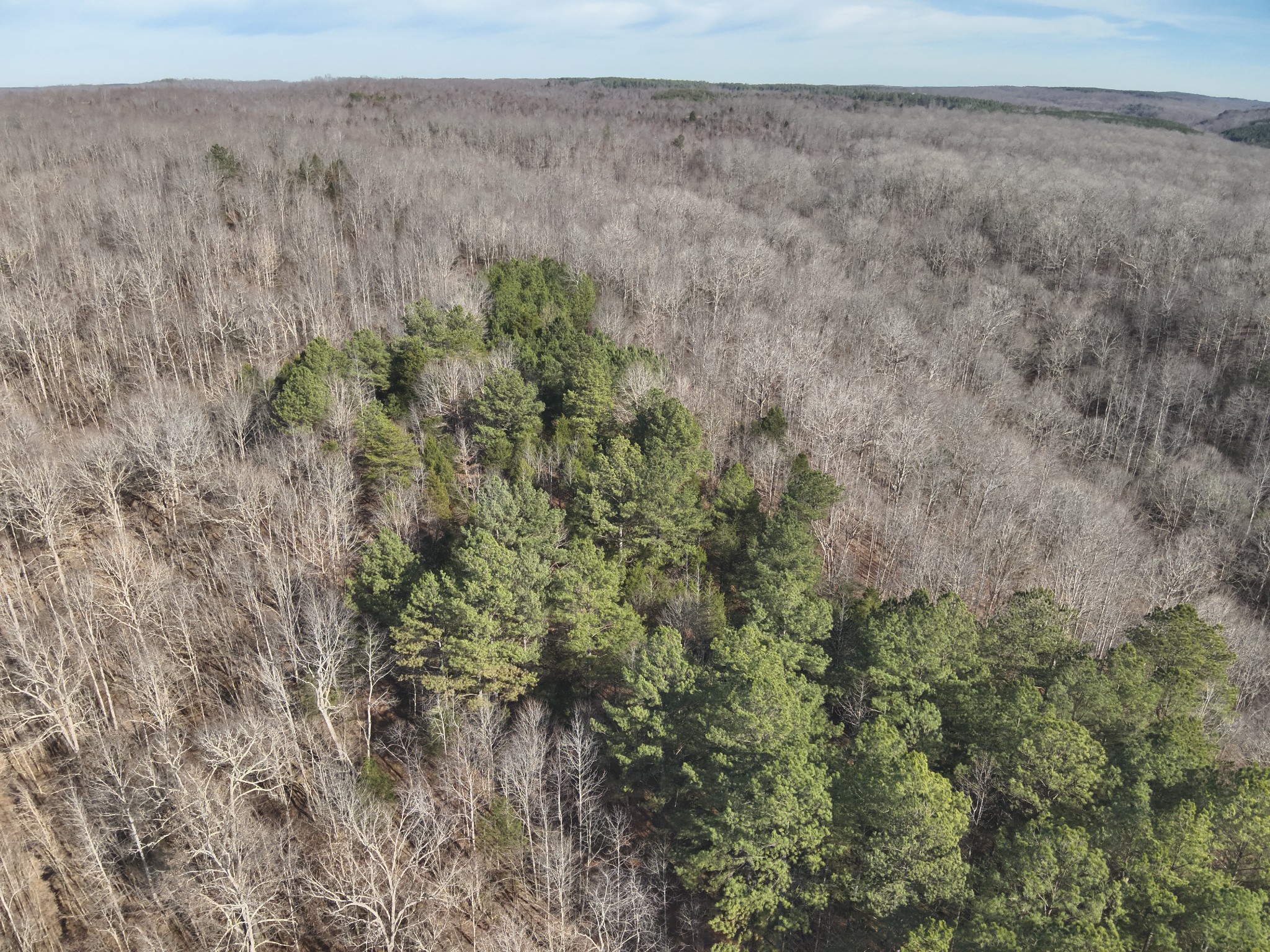 3385 Rockhouse Road Linden, TN 37096 - Photo 15 of 46 a view of a dry grass field