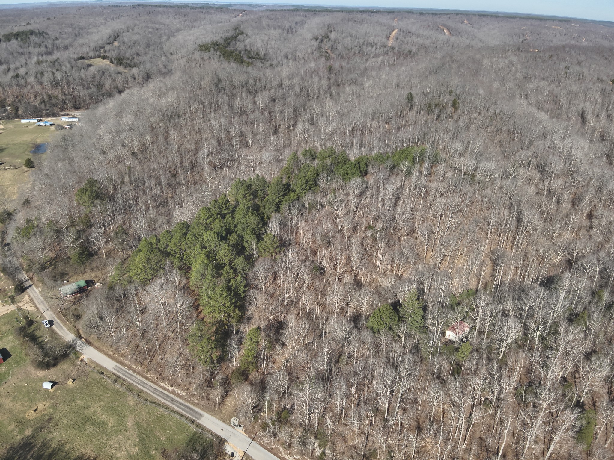 3385 Rockhouse Road Linden, TN 37096 - Photo 16 of 46 a view of a dry yard