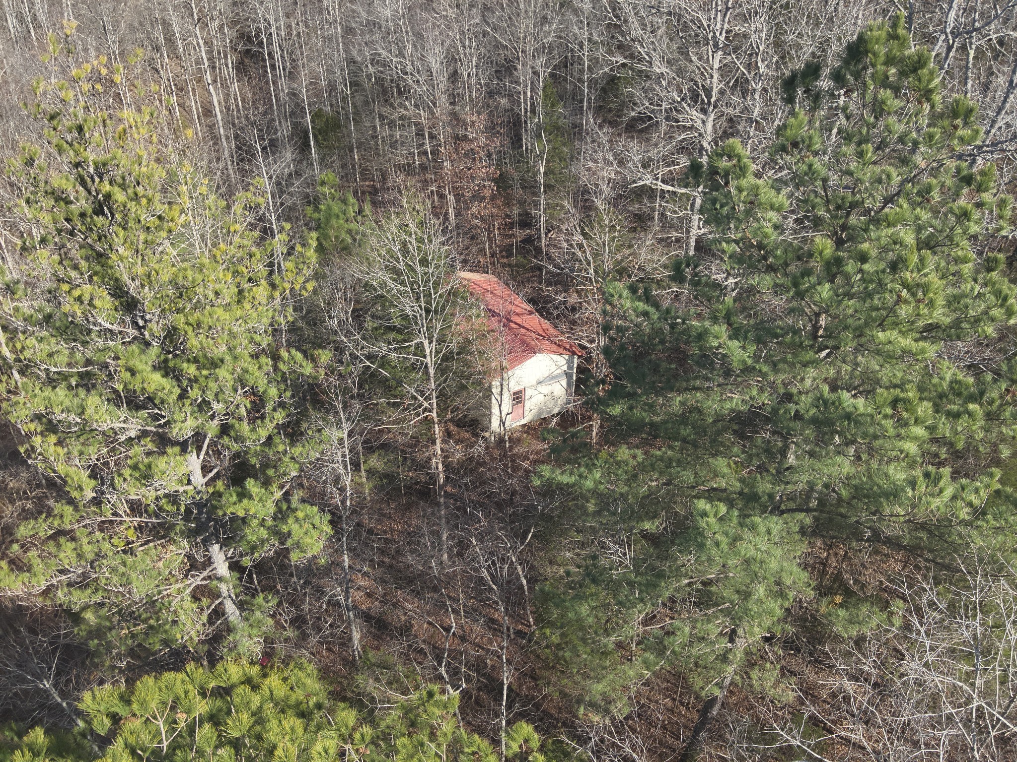 3385 Rockhouse Road Linden, TN 37096 - Photo 17 of 46 a backyard of a house