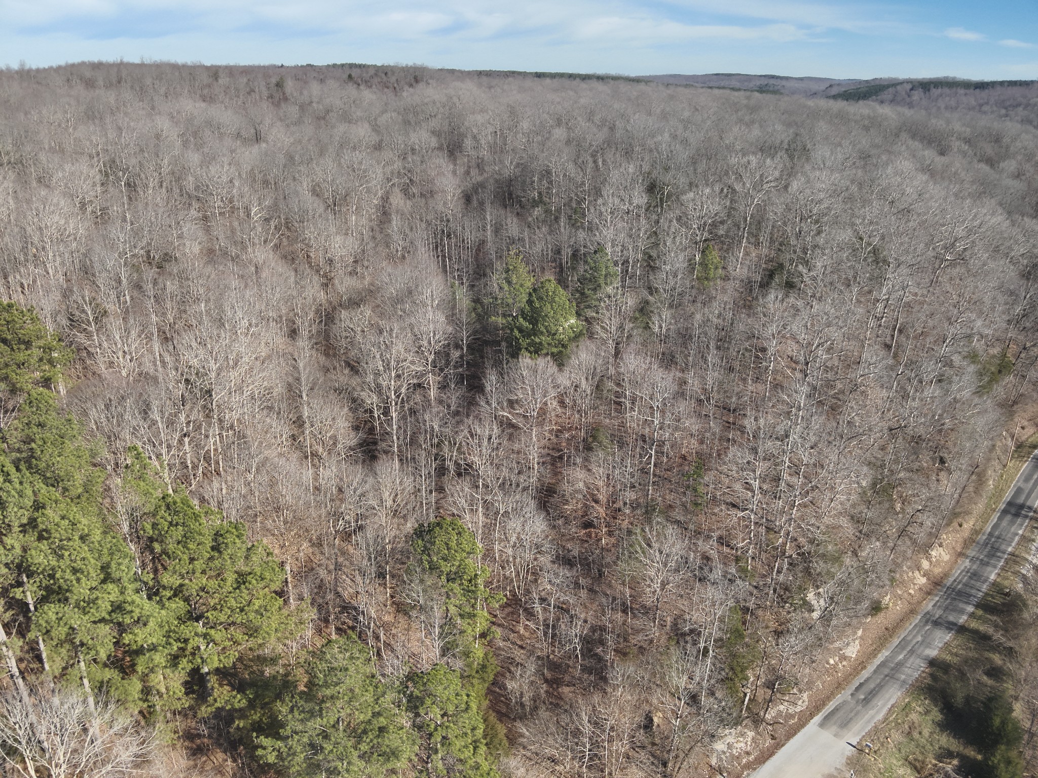 3385 Rockhouse Road Linden, TN 37096 - Photo 18 of 46 a view of a dry yard with trees