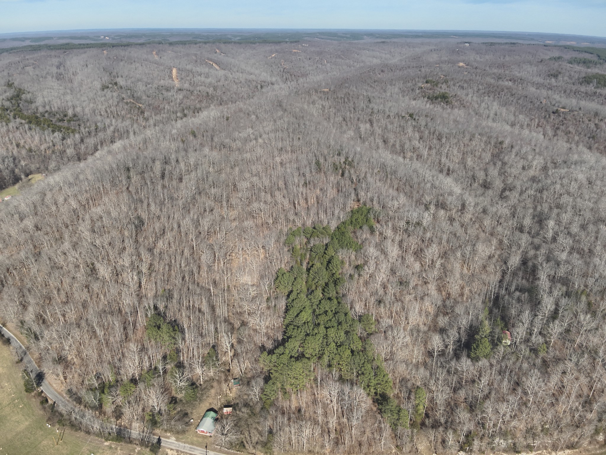 3385 Rockhouse Road Linden, TN 37096 - Photo 19 of 46 a view of a dry yard with trees