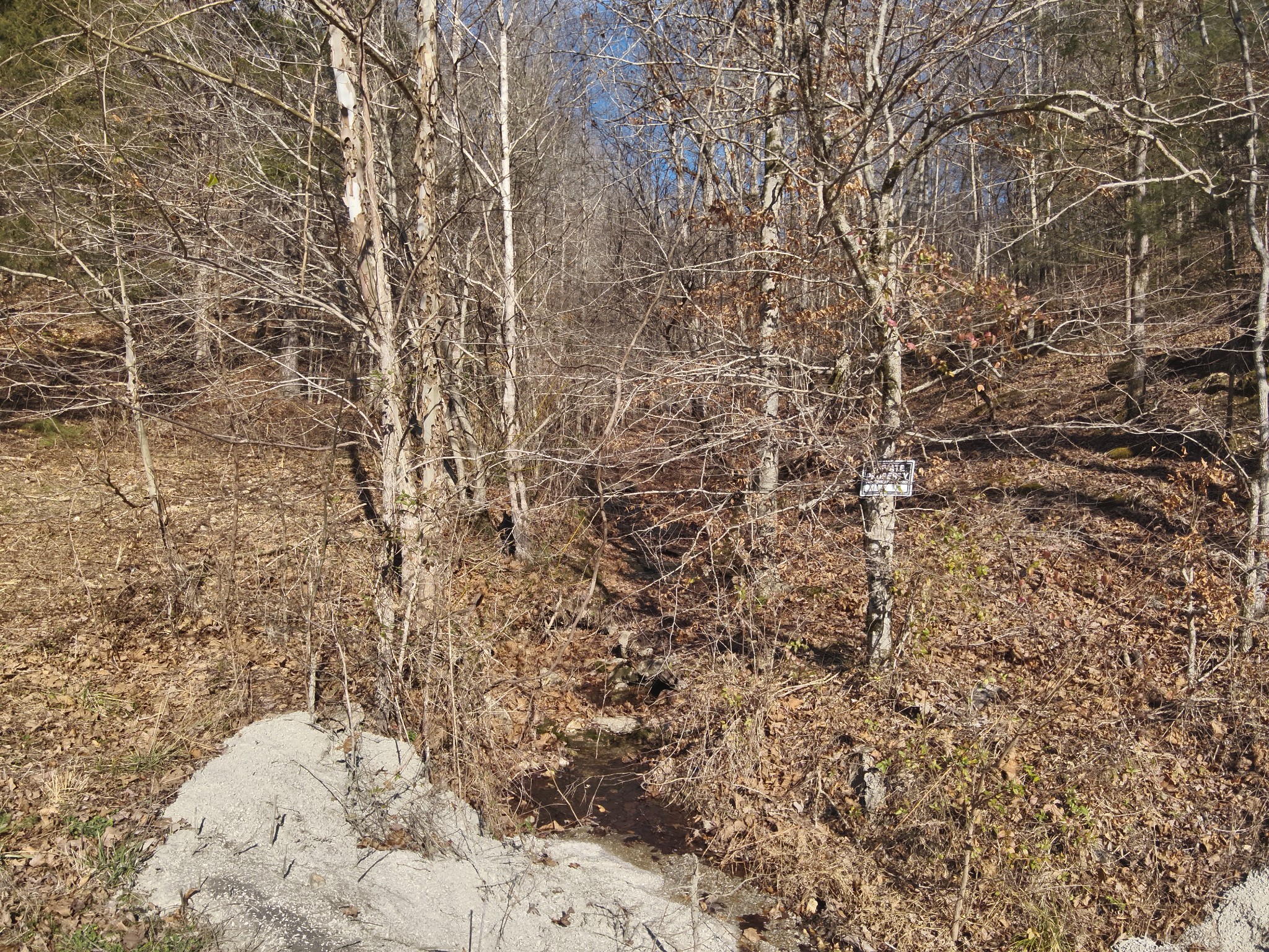 3385 Rockhouse Road Linden, TN 37096 - Photo 20 of 46 a view of a dry yard