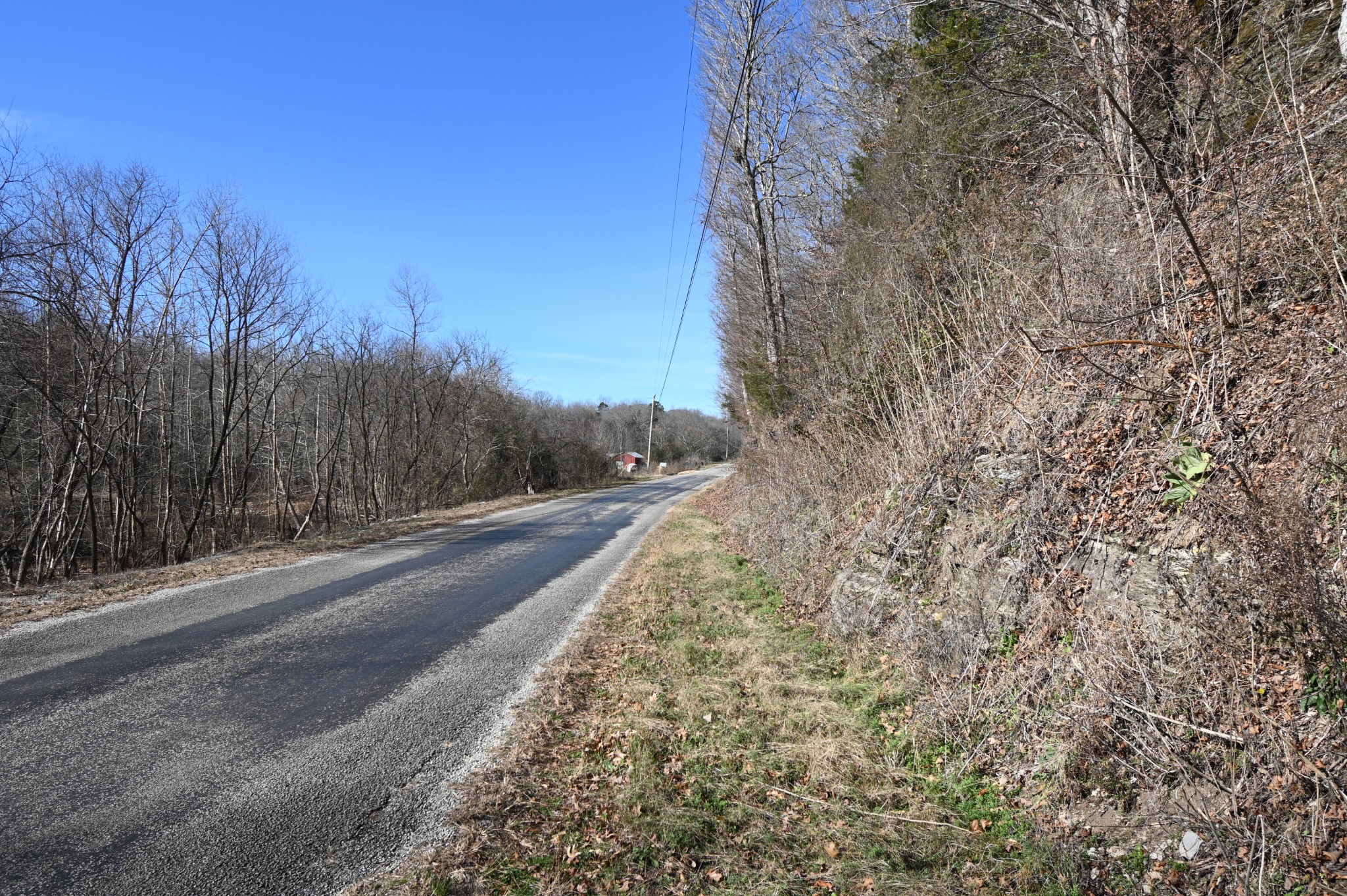 3385 Rockhouse Road Linden, TN 37096 - Photo 23 of 46 a view of a road with a yard