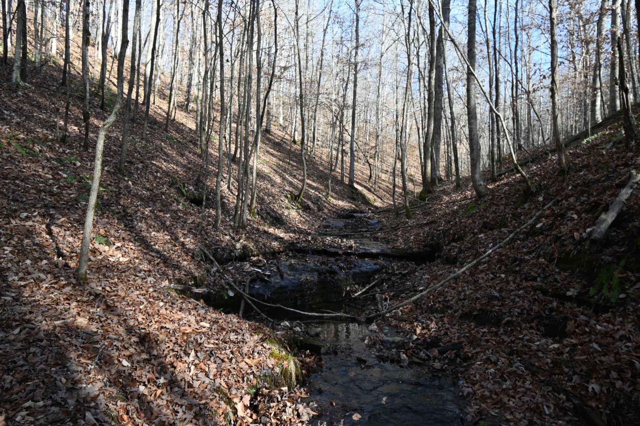 3385 Rockhouse Road Linden, TN 37096 - Photo 28 of 46 a view of painting on the wall