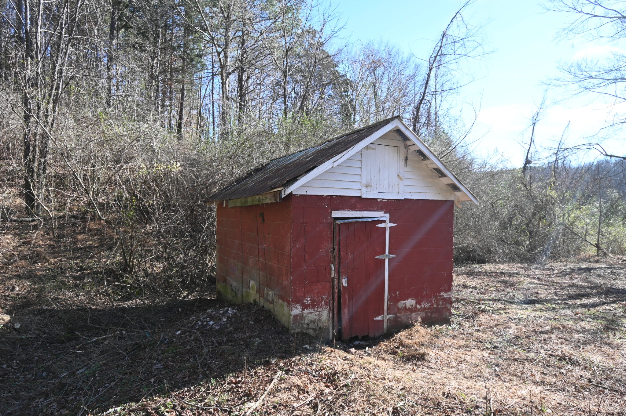 3385 Rockhouse Road Linden, TN 37096 - Photo 41 of 46 a view of a barn house with a big yard and large trees