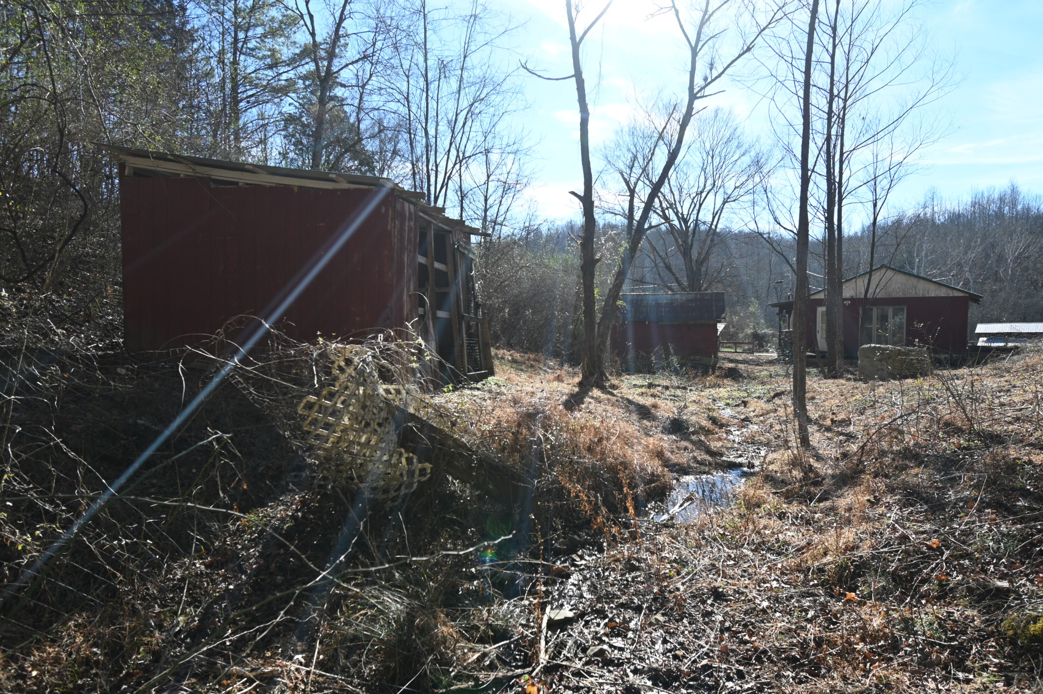 3385 Rockhouse Road Linden, TN 37096 - Photo 44 of 46 a backyard of a house with lots of green space