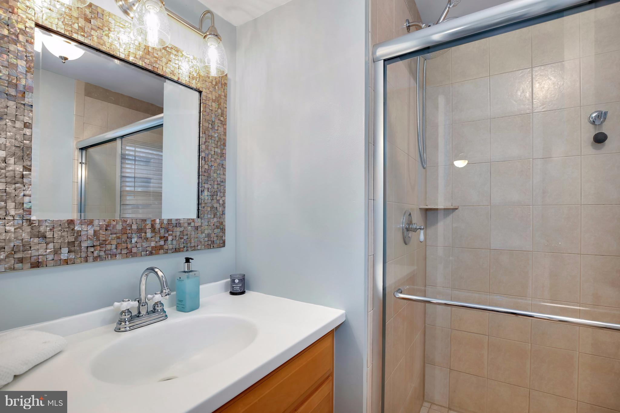 18316 Cattail Road Poolesville, MD 20837 - Photo 12 of 30 Bath (Master)