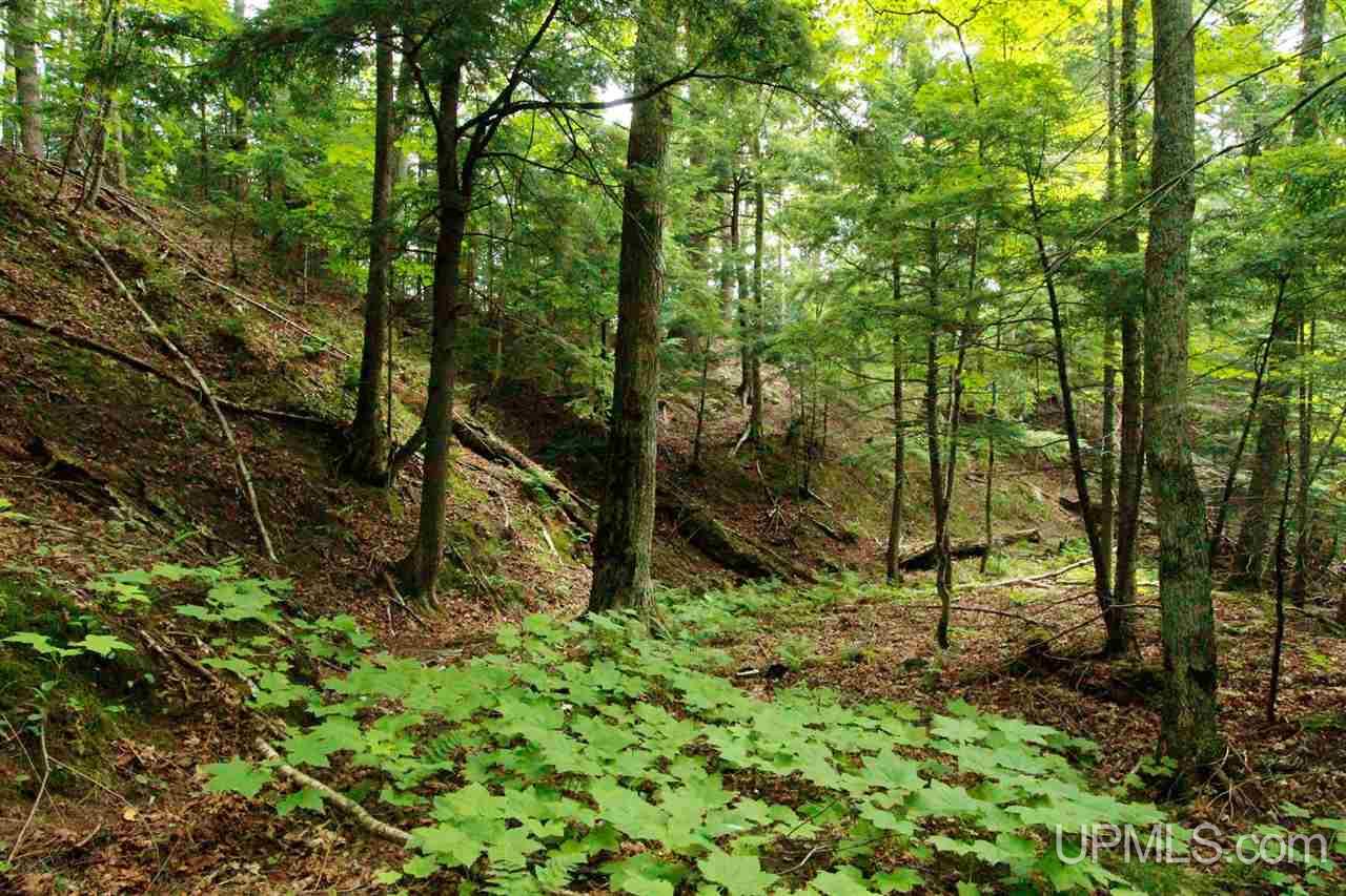 Tbd Off Little Garlic River Road Marquette, MI 49855 - Photo 14 of 14
