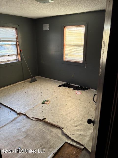 150 Stonewall Road Byhalia, MS 38611 - Photo 12 of 14 IMG_2770