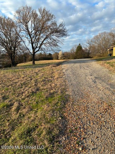 150 Stonewall Road Byhalia, MS 38611 - Photo 2 of 14 IMG_2759