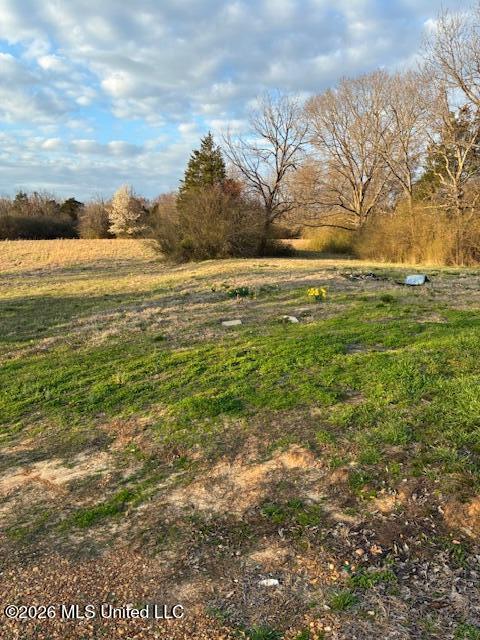 150 Stonewall Road Byhalia, MS 38611 - Photo 6 of 14 IMG_2764