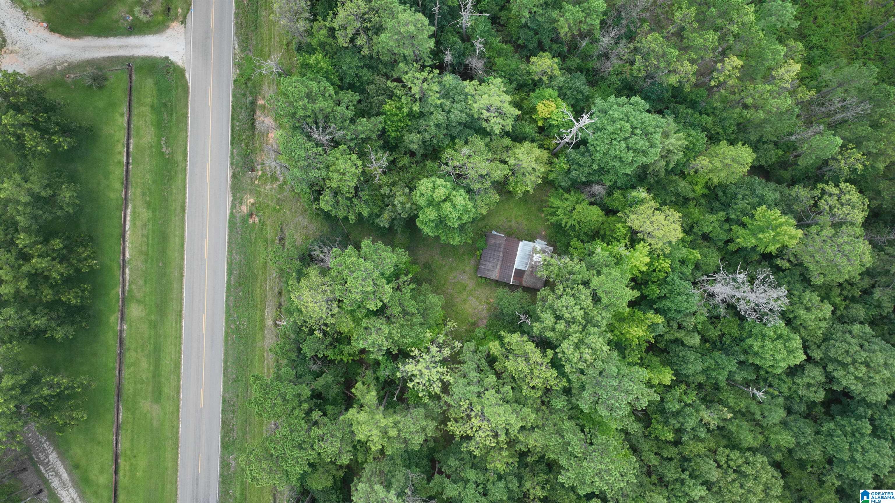 0 South Shackleville Road Georgiana, AL 36033 - Photo 21 of 22