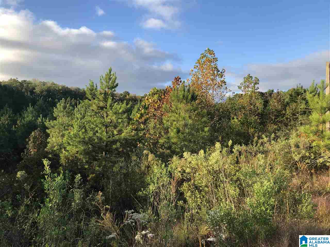 324 Foothills Drive, Unit 4 Chelsea, AL 35043 - Photo 1 of 1